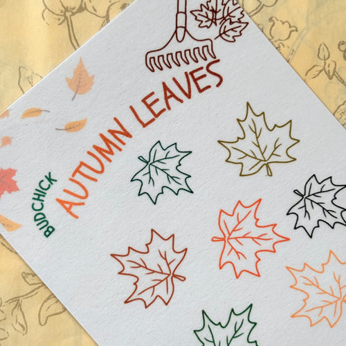 Autumn leaves 🍁