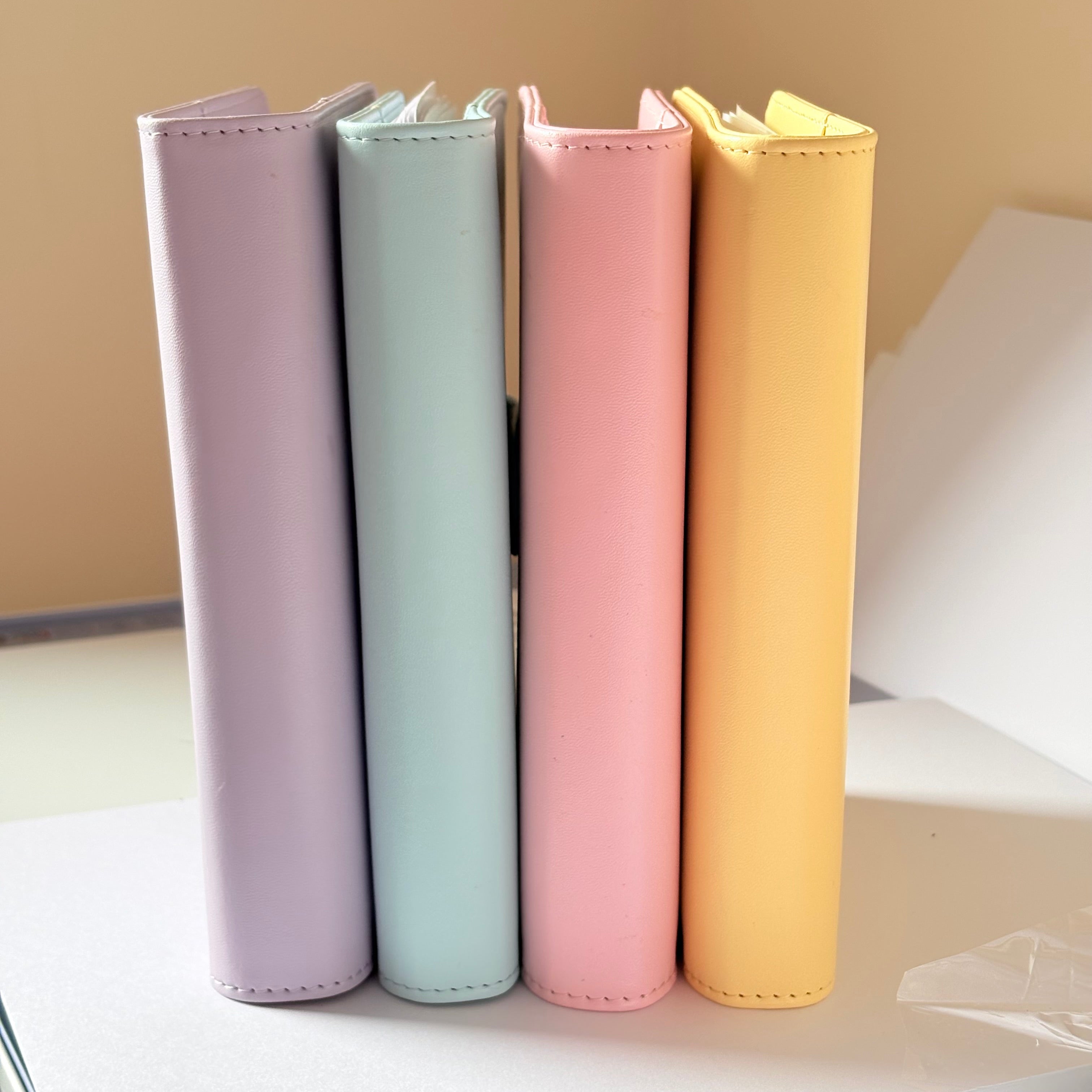 Pastel Budget binders