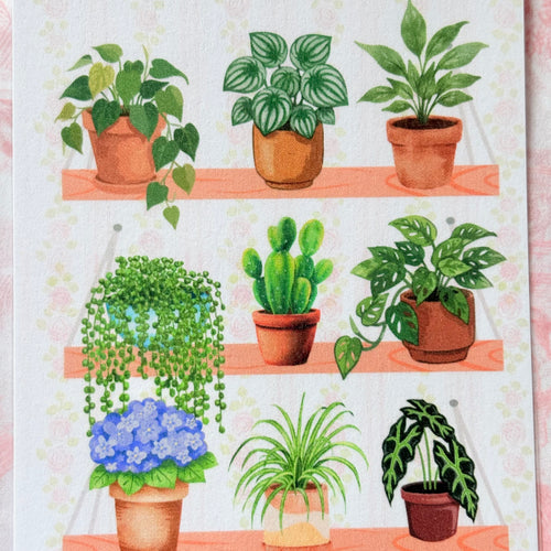 Crazy plant collector